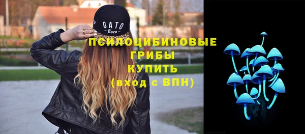 СК Алзамай