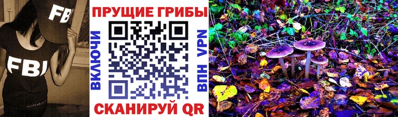 как найти закладки  Истра  Галлюциногенные грибы прущие грибы 
