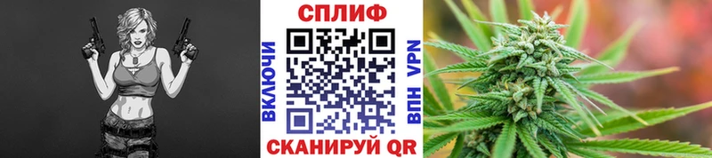 Шишки марихуана SATIVA & INDICA  купить наркотики сайты  Истра 